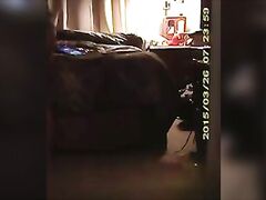 Big Booty Mom Shower and Bedroom Spycam Voyeur