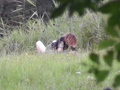 Couple fuck in park