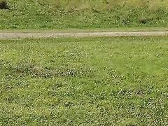 Realer Sex Talk so mag es eine Frau am liebsten