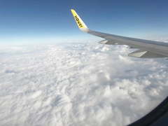 Real Blowjob on the Airplane - Lexi Aaane
