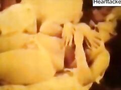 MALLU SOFTPORN QUEEN SHAKEELA NUDE 3 Indian Porn, Free Indian Porn Videos, Indian Sex, Desi Sex Free