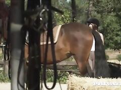 Private.com - Horse Rider Yasmin Scott Rides a Hung Stallion
