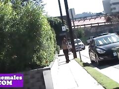 busty glam tranny assfucked after blowjob