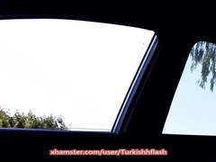 Car Dick Flash  (big compilation)